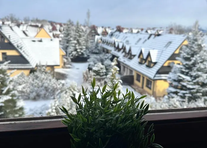 Trip Baza Sunny Pardałówka 41